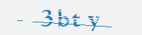 보안문자